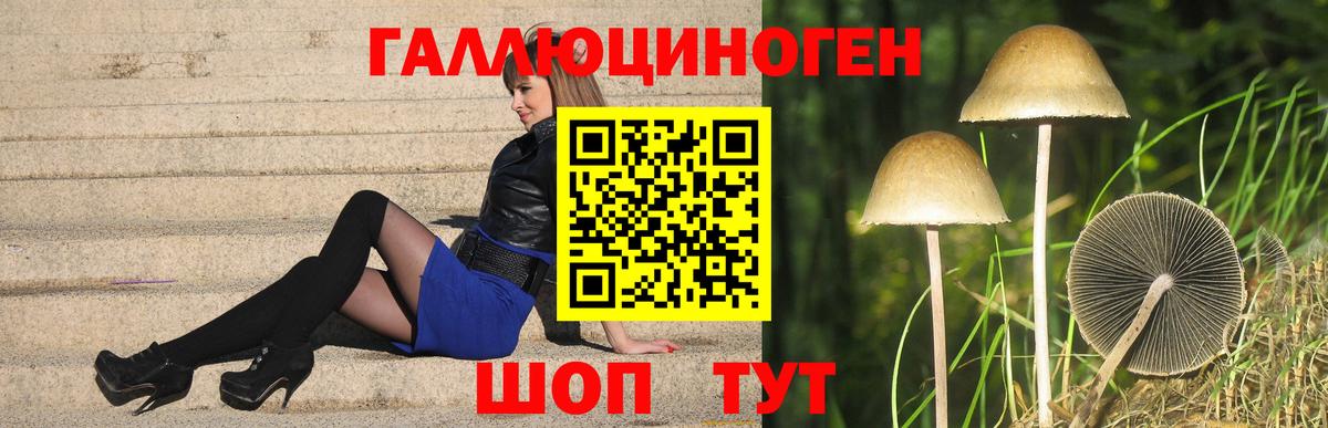 Псилоцибиновые грибы Psilocybe Чебоксары